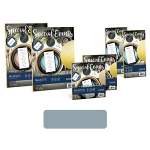 Biglietti e buste 17x17 special events silver 5+5pz