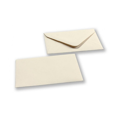 Biglietti e buste 9x14 10+10pz camoscio