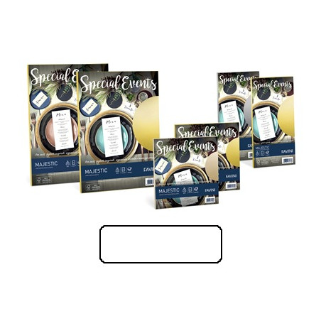 Biglietti e buste 9x14 special events bianco 5pz