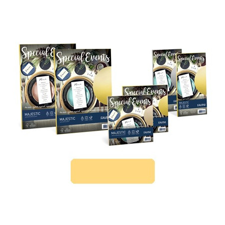 Biglietti e buste 9x14 special events oro 5+5pz