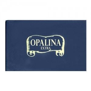 Biglietti visita f.to 9 mis. 9x14 100pz
