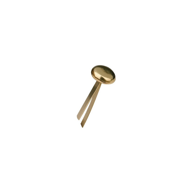 Fermacampioni mm.38 100pz