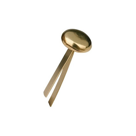 Fermacampioni mm.38 100pz