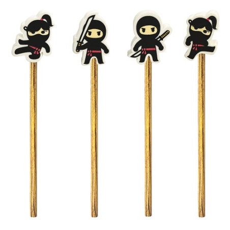 Matita ninja
