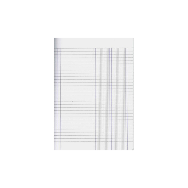Maxi quaderno 2 colonne 80gr