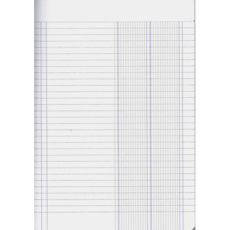 Maxi quaderno 2 colonne 80gr