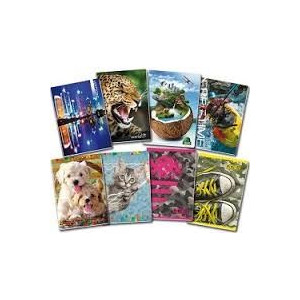 Maxi quaderno fantasia - rigo A 40fg / 80pg con frontespizio