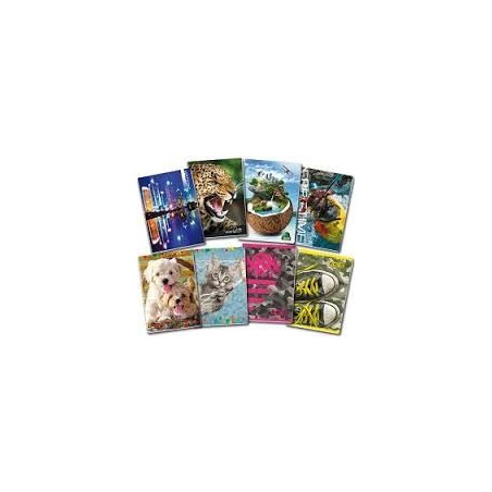 Maxi quaderno fantasia - rigo A 40fg / 80pg con frontespizio