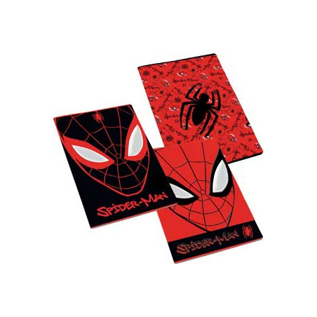 Maxi quaderno Spiderman rig.10mm (quadri 1-2 elmentare) GR.100  FF.24+1
