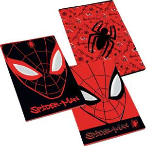 Maxi quaderno Spiderman rig.A(rigo 1-2 elmentare) GR.100  FF.24+1