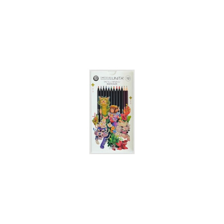 Pastelli a 12 TINTAUNITA multicolor 4.2