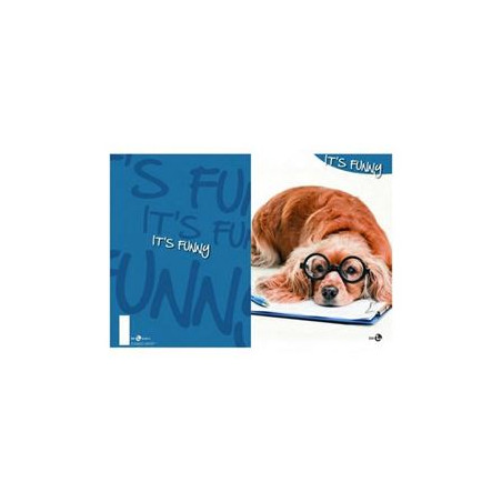 Quaderno standard fantasia 40fg / 80pg con frontespizio - Rigatura A Blasetti