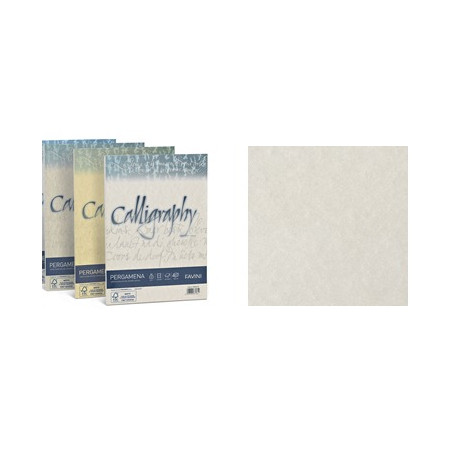 Carta  Pergamena Calligraphy  A4 90gr. 50 fogli perla