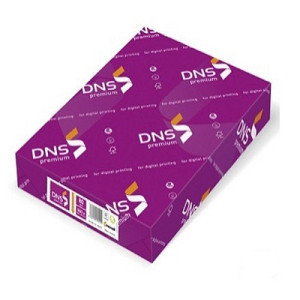 Carta bianca A3 100gr 500fg DNS Premium
