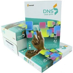 Carta bianca A4 100gr 500fg DNS PREMIUM