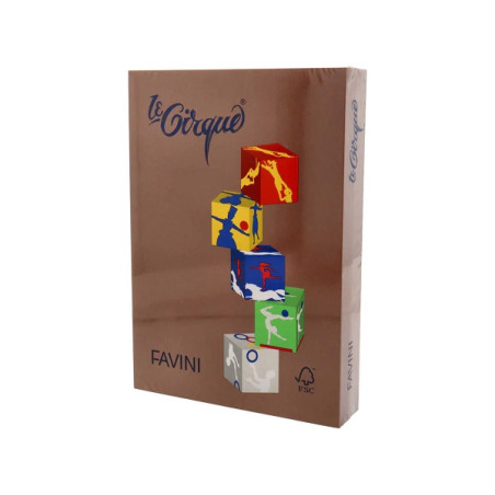 Carta Color A4 160gr le Cirque 250fg tartufo