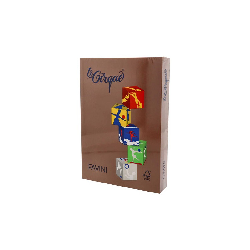 Carta Color A4 80gr le Cirque 500fg casagna