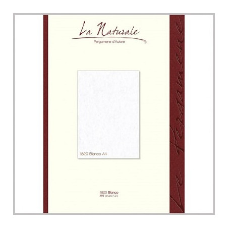 Carta pergamena A4 bianco neutre 160gr 12fg