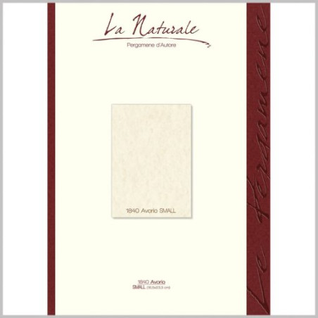 Carta pergamena A5 avorio neutre 160gr 12fg