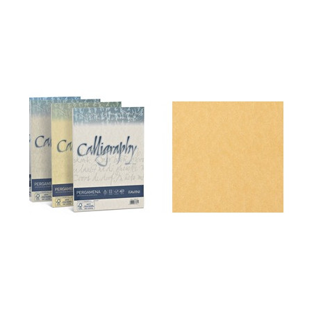 Carta Pergamena Calligraphy  A4 90gr. 50ff oro
