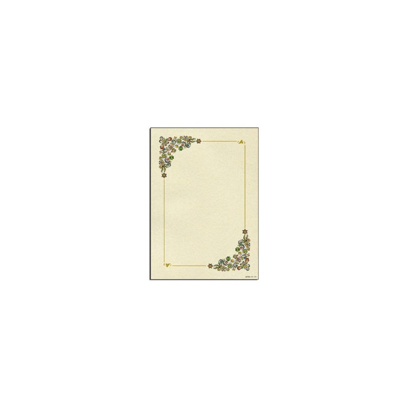 Diplomi in pergamena 17x24 4579 Cornice fiori