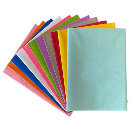 Carta da regalo 70x100 10 colori assortiti