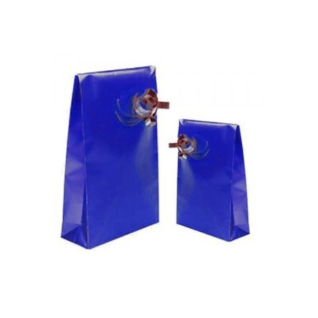 Sacchetti in carta 7X13 BLU