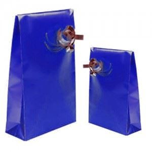 Sacchetti in carta 8X15 BLU