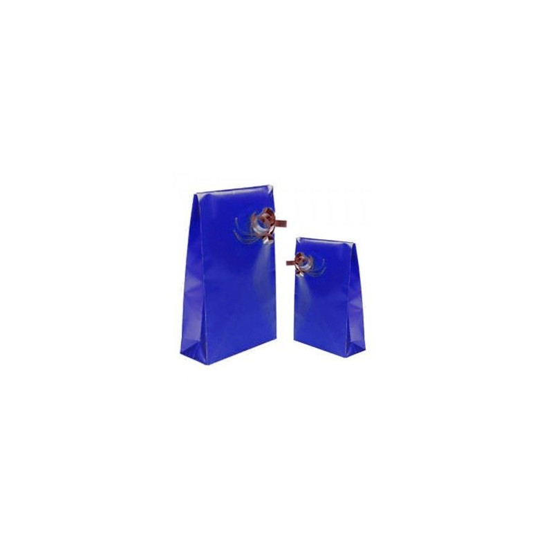 Sacchetti in carta 8X15 BLU