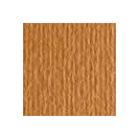 Cartoncino 5070 avana