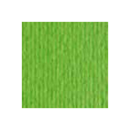 Cartoncino 5070 verde pisello