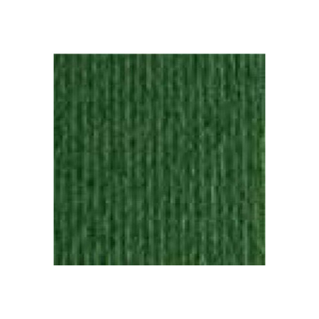 Cartoncino 5070 verdone