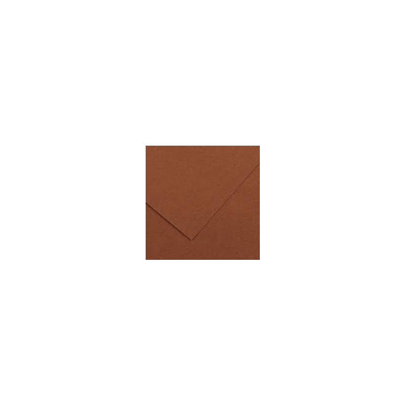 Cartoncino 70100 cioccolato