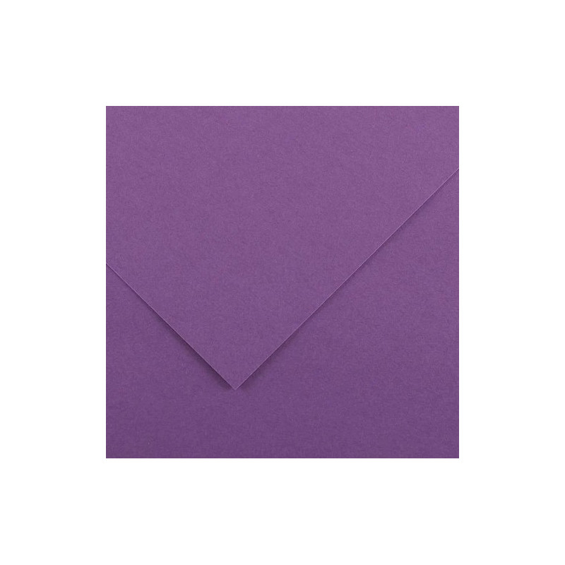 Cartoncino 70100 violetto