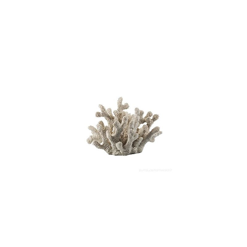 Decorazione gesso /resina corallo bianco6pz