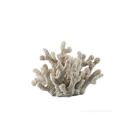 Decorazione gesso /resina corallo bianco6pz