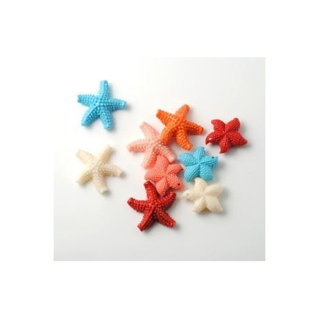 Decorazione gesso /resina stella marina bianca6pz