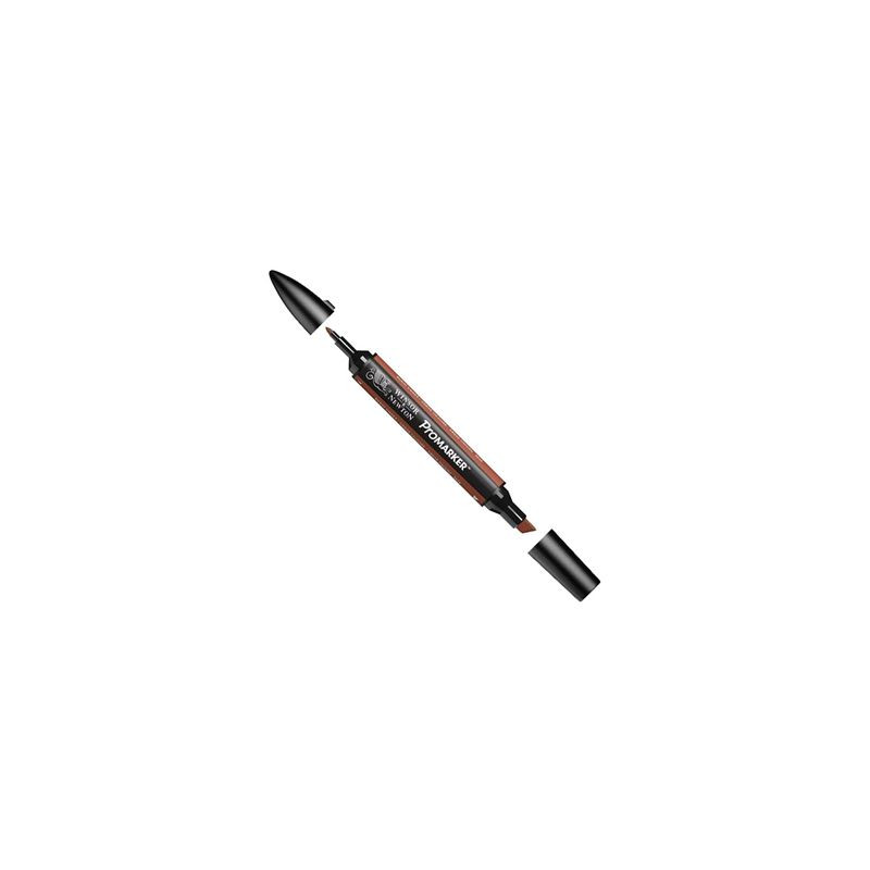 Pantone Promarker Burnt Umber R646
