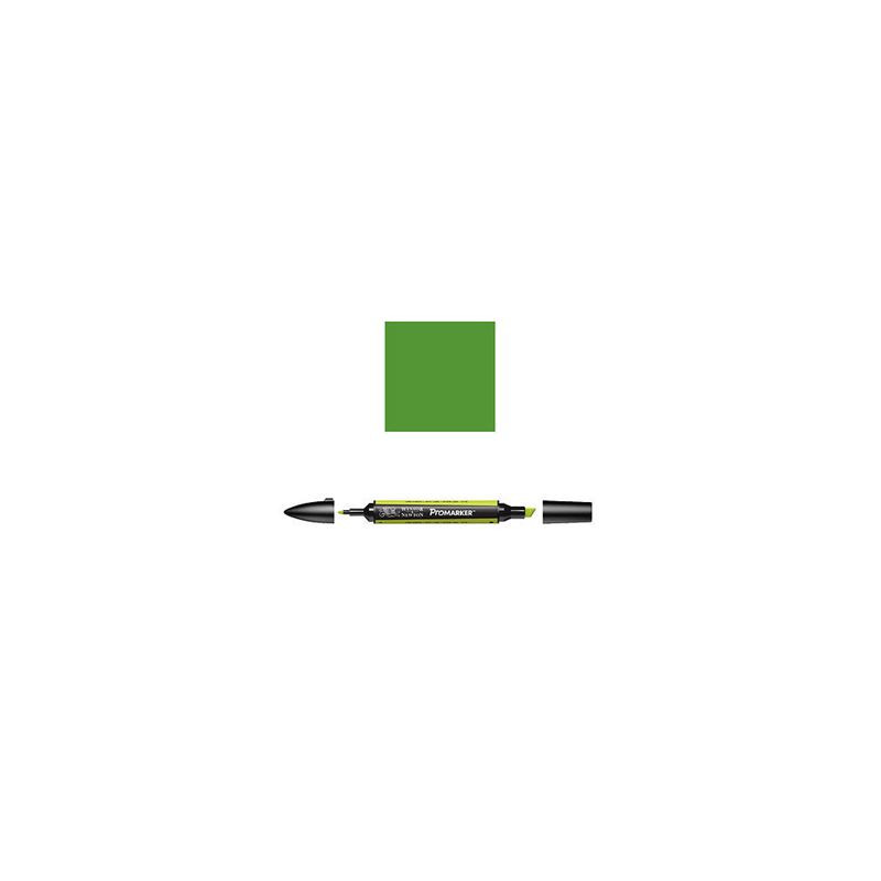 Pantone Promarker Forest Green G356
