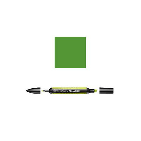 Pantone Promarker Forest Green G356