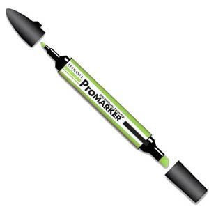 Pantone Promarker Leaf Green G258