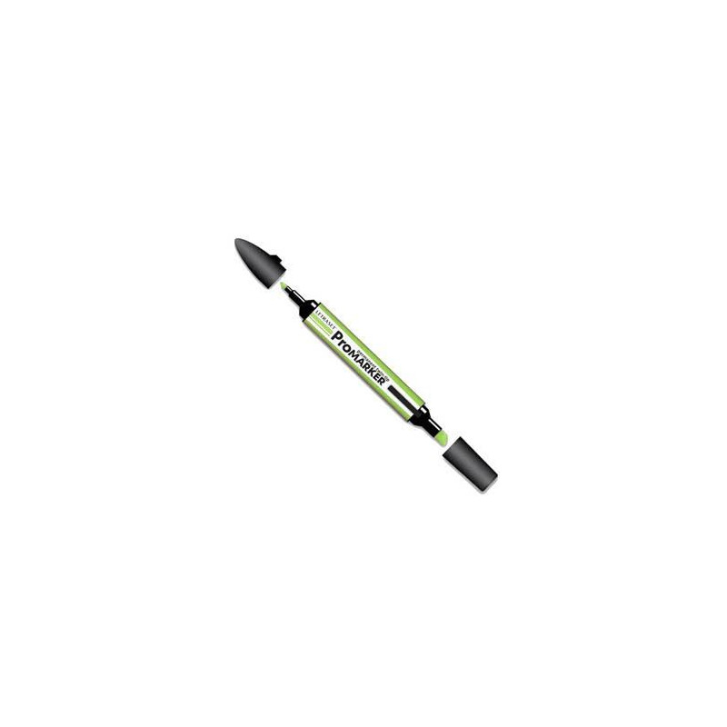 Pantone Promarker Leaf Green G258