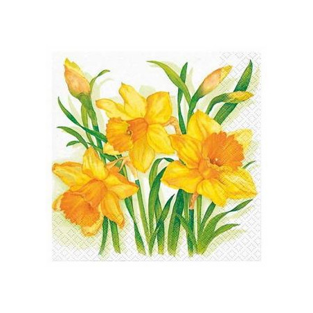 Tovaglioli decoupage 33x33 20pz