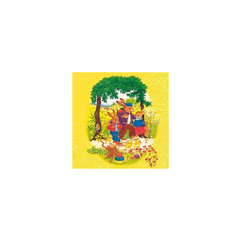 Tovaglioli decoupage 33x33 20pz