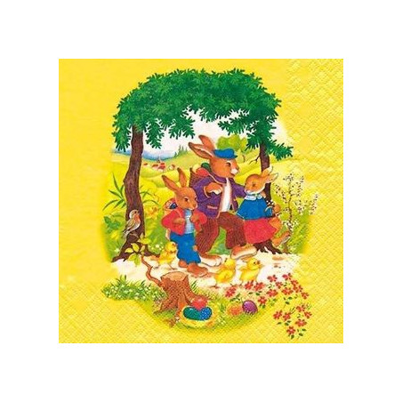 Tovaglioli decoupage 33x33 20pz