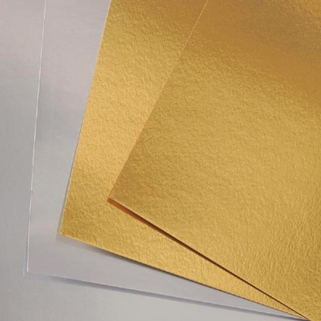 Cartoncino vivaldi 50x65 280gr argento